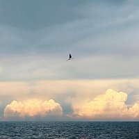 Přední strana obalu CD ?????? (noknoi) [ost. ????????]