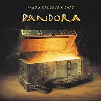 Přední strana obalu CD Pandora