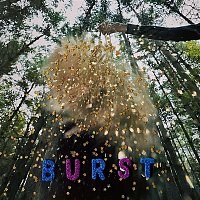 Přední strana obalu CD Burst