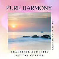 Různí interpreti – Pure Harmony: Beautiful Acoustic Guitar Covers for Blissful Moments