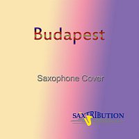 Budapest (Saxophone Cover)