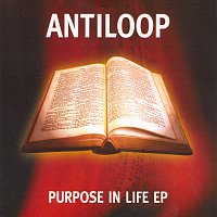 Antiloop – Purpose In Life