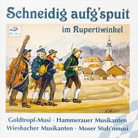 Goldtropf-Musi, Hammerauer Musikanten, Wiesbacher Musikanten, Moser Stub'nmusi – Schneidig aufg'spuit im Rupertiwinkel