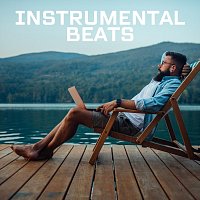 Různí interpreti – Instrumental Beats
