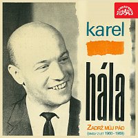 Přední strana obalu CD Zadrž můj pád (singly z let 1960-1969)