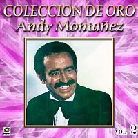 Andy Montanez – Colección de Oro: El Espectacular Andy Montanez, Vol. 2