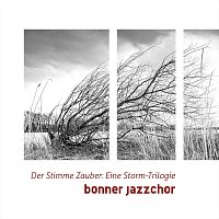 Der Stimme Zauber: Eine Storm-Trilogie