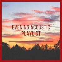 Různí interpreti – Evening Acoustic Playlist