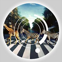 Michael Nowak – Walk