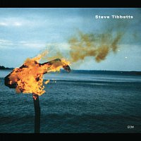 Steve Tibbetts – A Man About A Horse