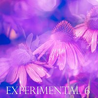 Sandro – Experimental 6