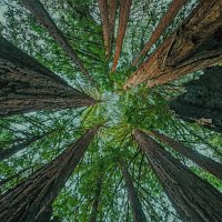 slenderbodies – arrival