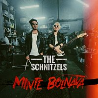 The Schnitzels – Minte bolnavă