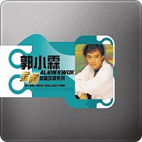 Steel Box Collection - Alvin Kwok