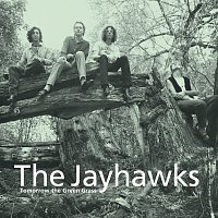 The Jayhawks – Tomorrow The Green Grass