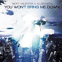 Nikki Valentine, Allan Natal – You Won't Bring Me Down