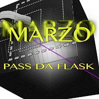 Přední strana obalu CD Pass Da Flask