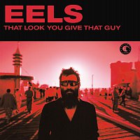 Eels – That Look You Gave That Guy