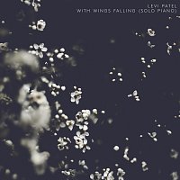 Levi Patel – With Wings Falling [Solo Piano]