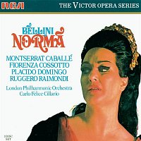 Přední strana obalu CD Bellini: Norma Gesamtaufnahme