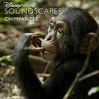 Disneynature Soundscapes – Disneynature Soundscapes: Chimpanzee