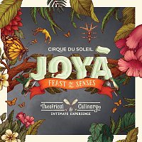 Přední strana obalu CD JOYA