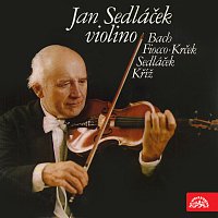 Jan Sedláček – Koncerty pro housle a orchestr