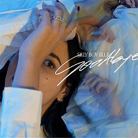 Přední strana obalu CD Goodbye