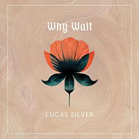 Lucas Silver – Why Wait
