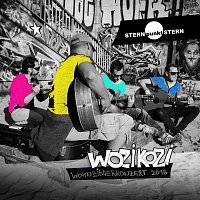 STERNpunktSTERN – Wohnzimmerkonzert 2016