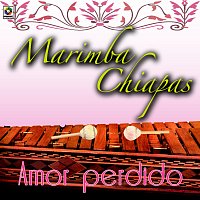 Marimba Chiapas – Amor Perdido