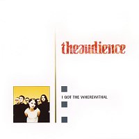 theaudience – I Got The Wherewithal