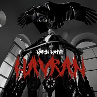 Martin Matys, FRANK1E – Havran