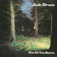 Přední strana obalu CD Into The Storm