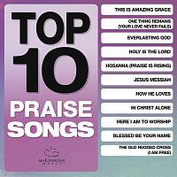 Různí interpreti – Top 10 Praise Songs