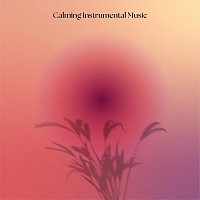 Různí interpreti – Calming Instrumental Music