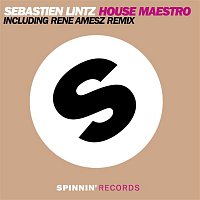 Sebastien Lintz – House Maestro (The Remixes)