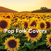 Různí interpreti – Pop Folk Covers