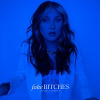 Ashley Kutcher – Fake Bitches