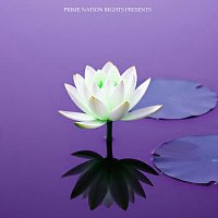 Přední strana obalu CD Skybound Silence