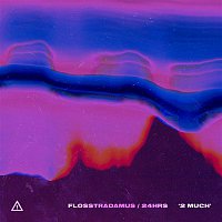 Flosstradamus, 24hrs – 2 MUCH