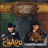 El Chapo, Valentín Elizalde – Las Voces De México