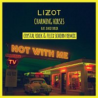 LIZOT & Charming Horses, David Taylor – Not With Me (Crystal Rock & Felix Schorn Remix)
