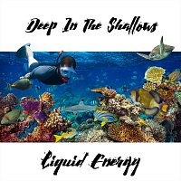 Přední strana obalu CD Deep in the Shallows