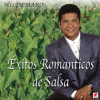 Hildemaro – Éxitos Románticos De Salsa