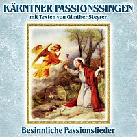 Různí interpreti – Karntner Passionssingen mit Texten von Gunther Steyrer - Besinnliche Passionslieder