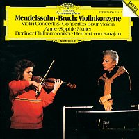 Přední strana obalu CD Mendelssohn / Bruch: Violin Concertos