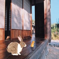 Onsoku Line – Fuukeibyousha