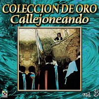 Různí interpreti – Colección De Oro: Callejoneando Con Las Estudiantinas, Vol. 3