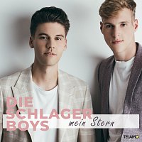 Přední strana obalu CD Mein Stern